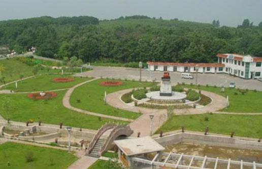 �������Y