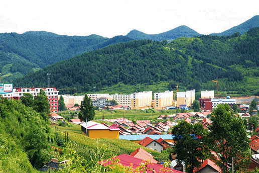 �������Y