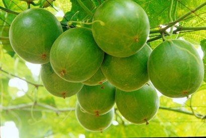 �������Y