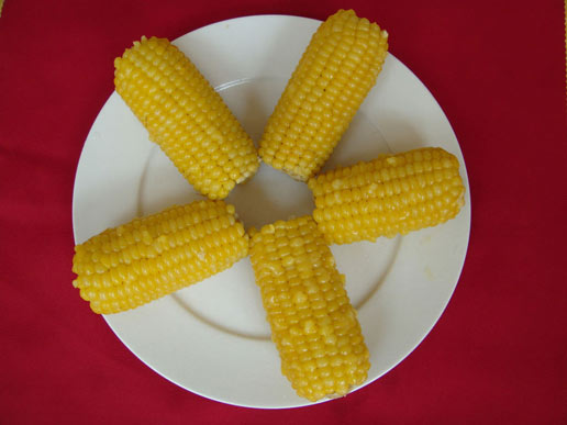 �������Y