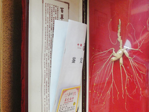 �������Y