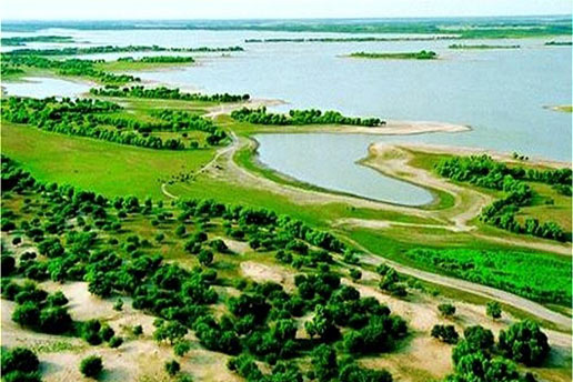 �������Y