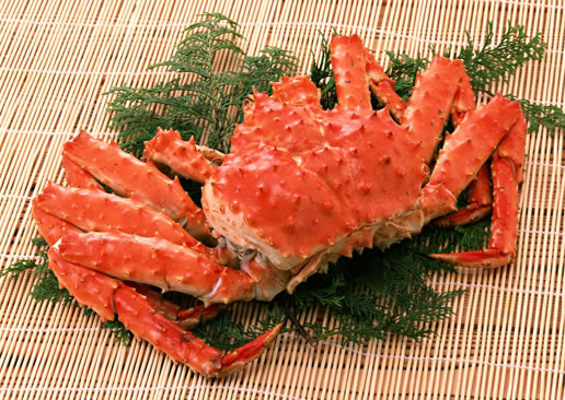 �������Y