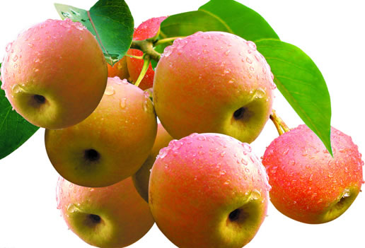 �������Y