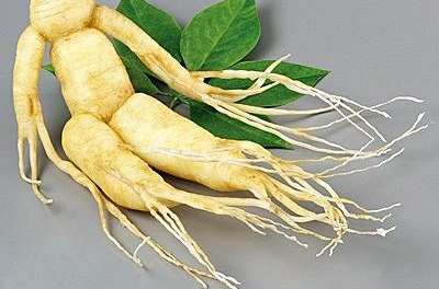 �������Y