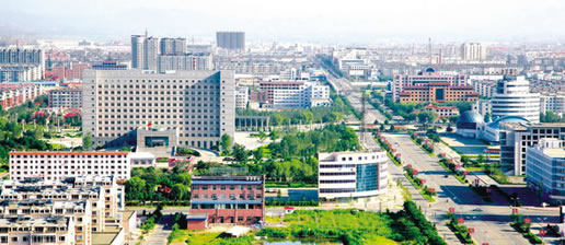 �������Y