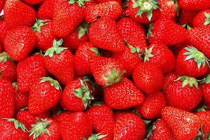 �������Y