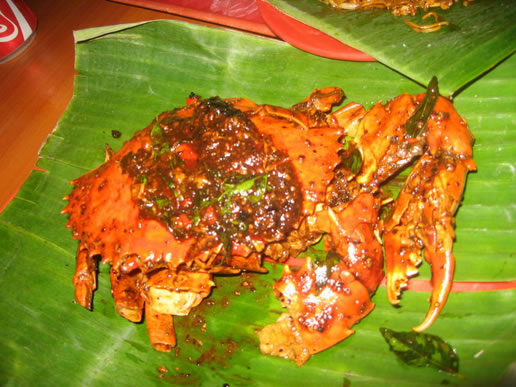 �������Y