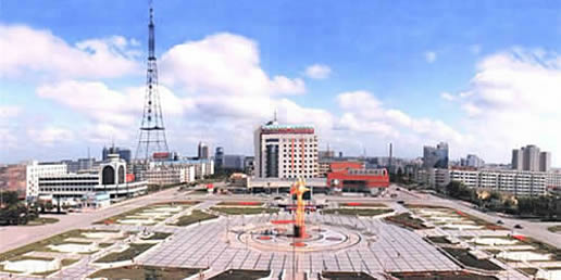 �������Y