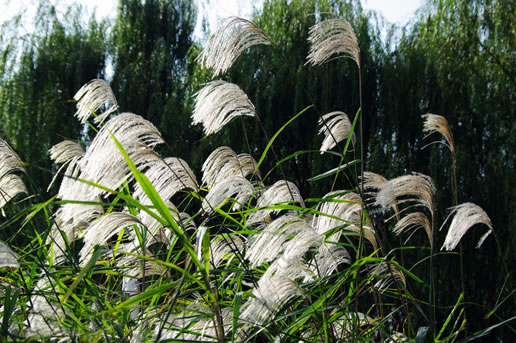 �������Y