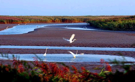 �������Y