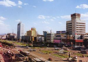 �������Y