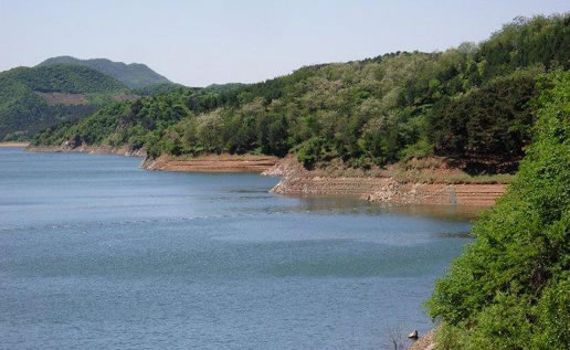 �������Y