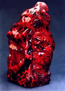 �������Y