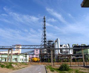 �������Y