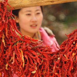 �������Y