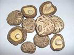 �������Y