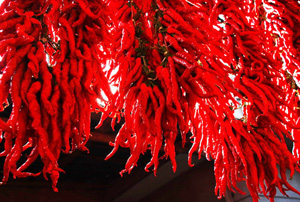 �������Y