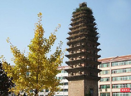 �������Y