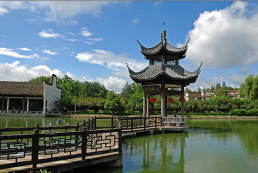 �������Y