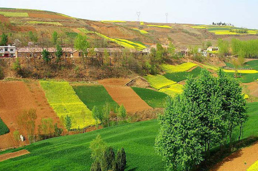 �������Y