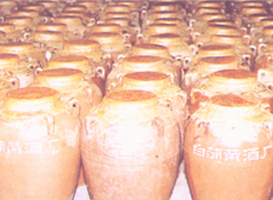 �������Y