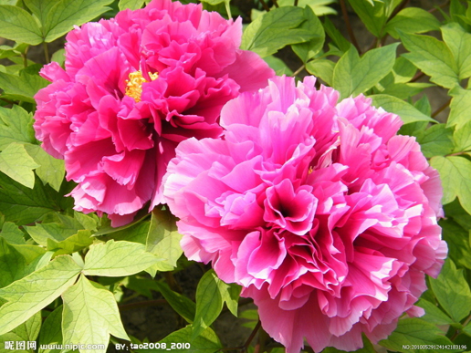 �������Y