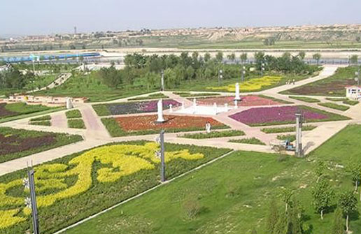 �������Y