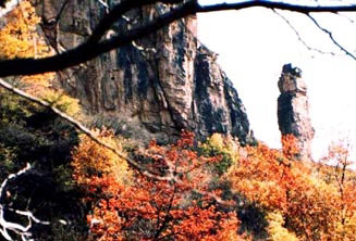 �������Y