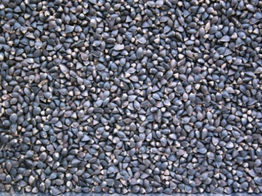 �������Y