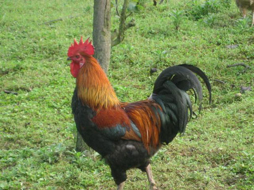 �������Y