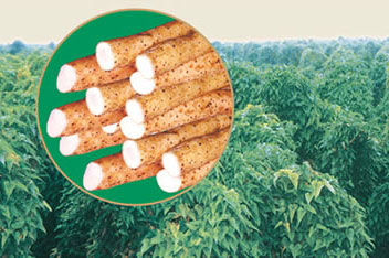 �������Y