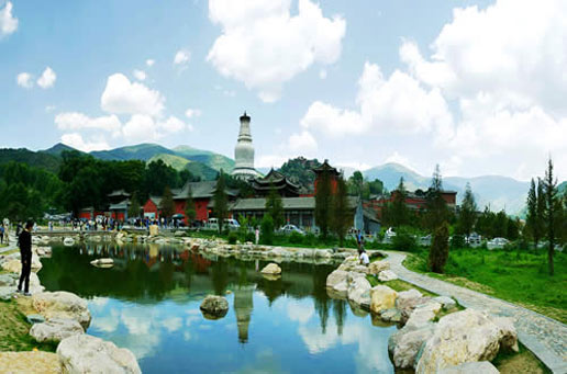 �������Y