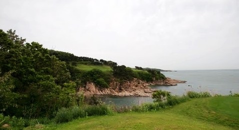 �������Y