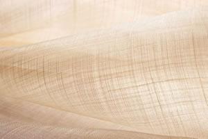 �������Y