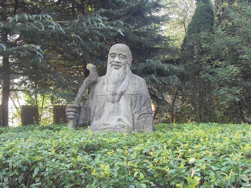 �������Y