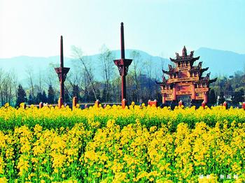 �������Y