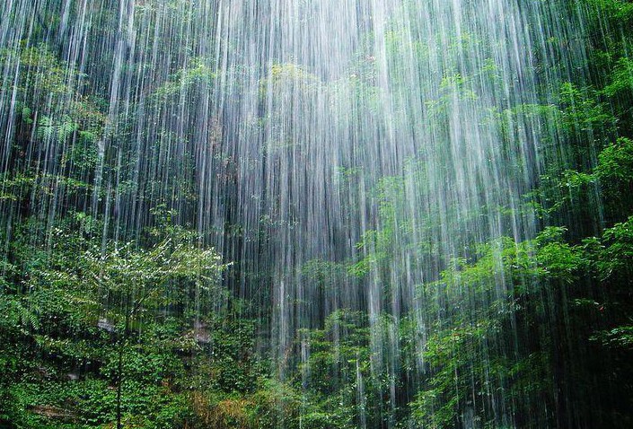 �������Y