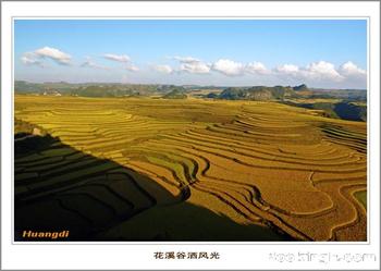 �������Y