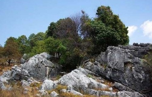 �������Y