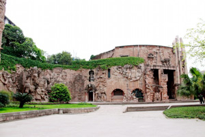 �������Y