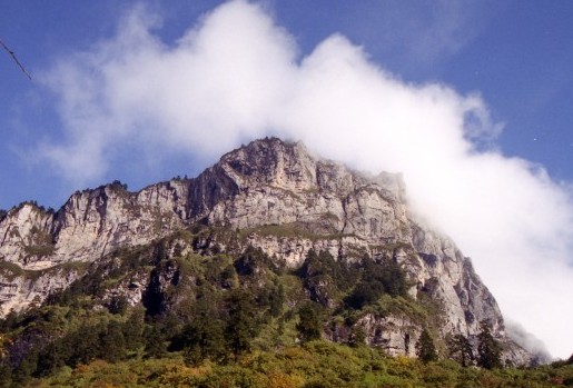 �������Y