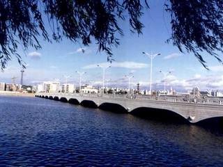 �������Y