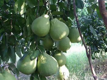 �������Y