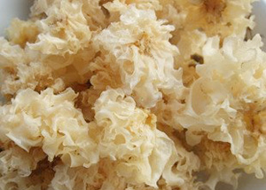 �������Y