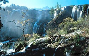 �������Y