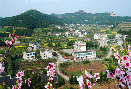 �������Y