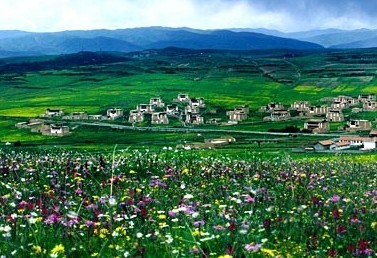 �������Y