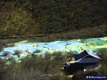 �������Y