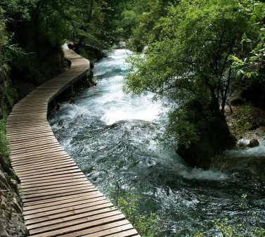 �������Y